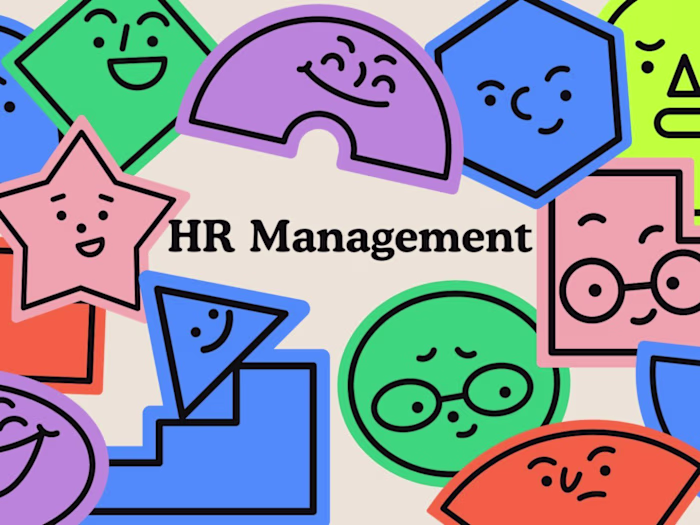 Streamlining HR Processes for a Mid-Sized Company