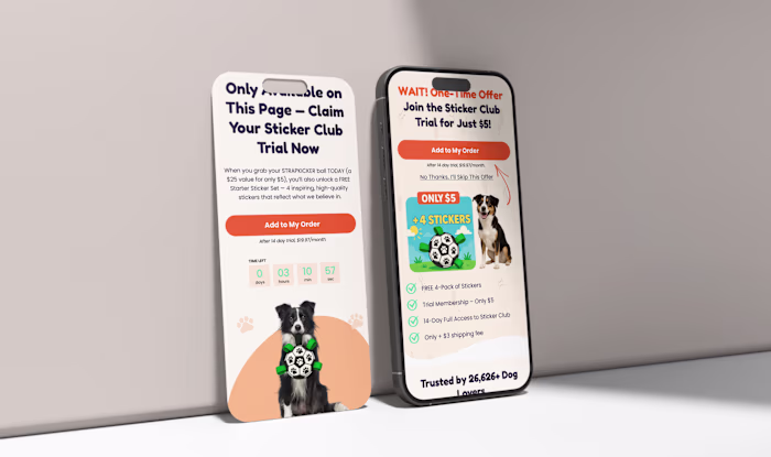 Subscription Offer UI Page