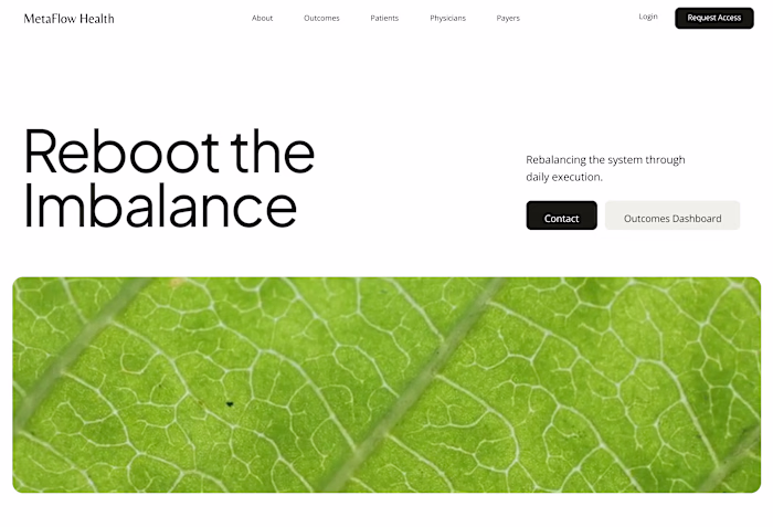 MetaFlow Health Marketing Site Development