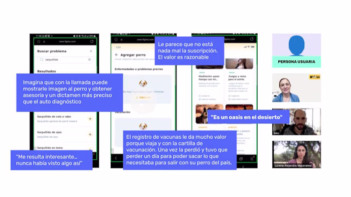 AI-Powered Pet Care App UX Validation for Moolli