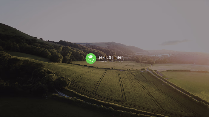 e-farmer: Brand Identity