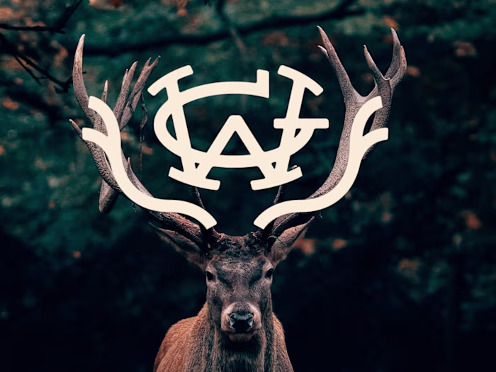 GoWild Outdoors
