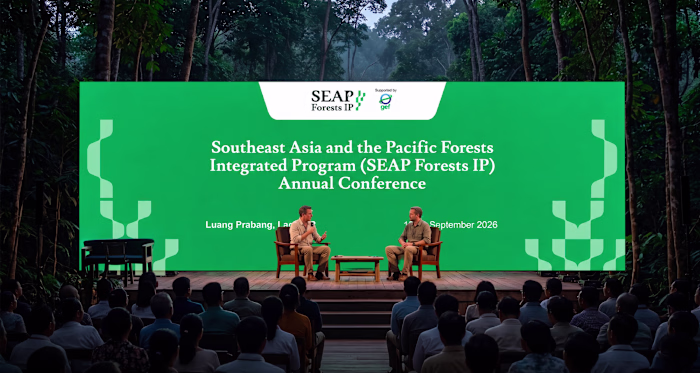 Brand Identity Design for SEAP Forests IP