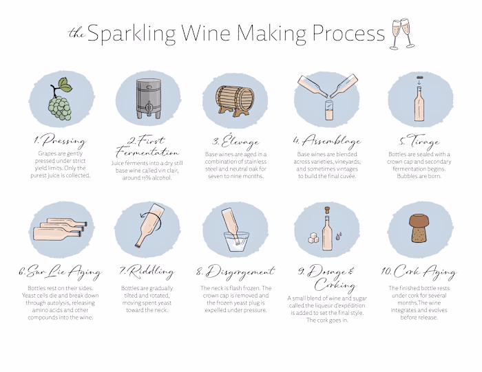 Sparkling Wine Making Process Diagram