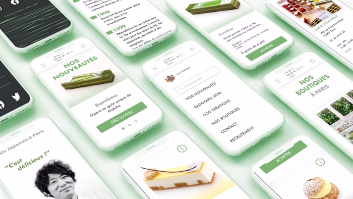 Aoki Sadaharu French website redesign