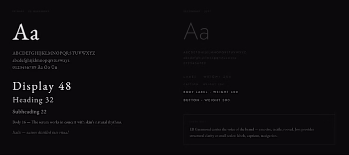Brand Identity Design Concept -