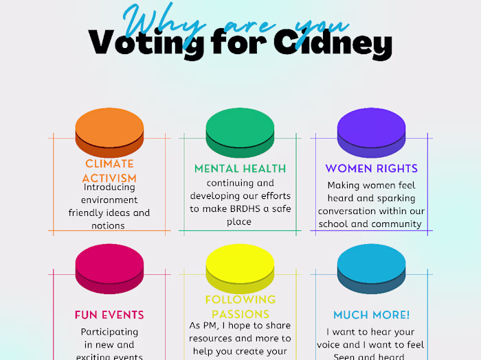 High School Presidency Campaign 