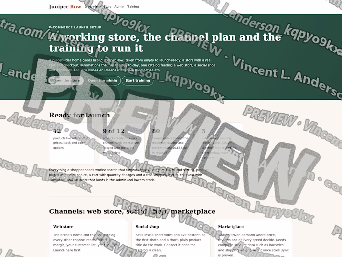 Launch-ready store with automations and training