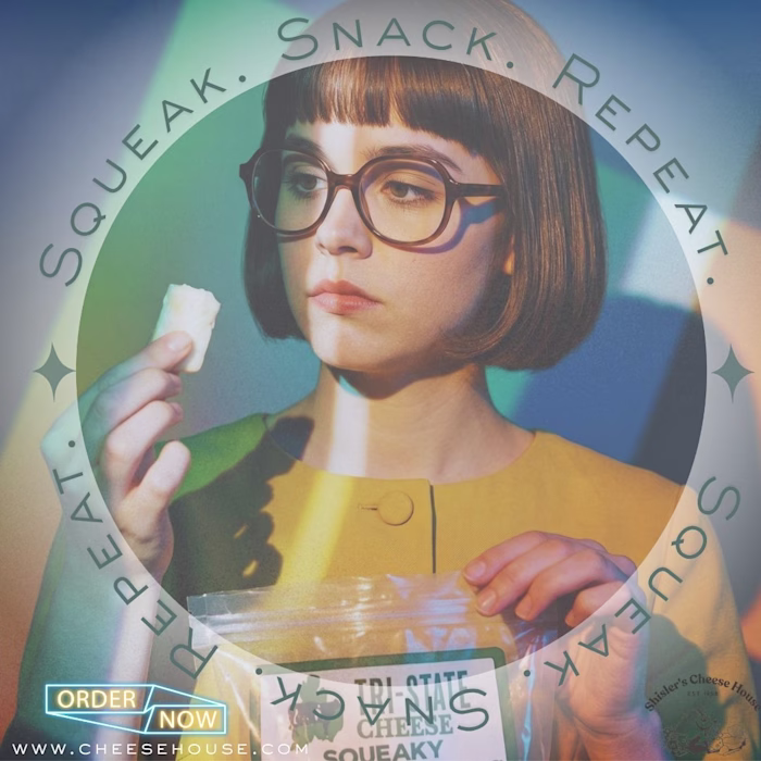 META ads for Shisler's Cheese House