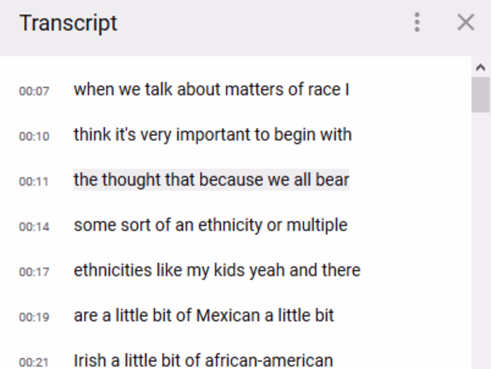 YouTube Video Transcription