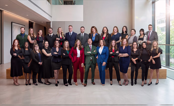 Law Firm Portrait System