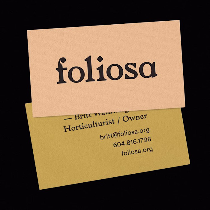 Foliosa 