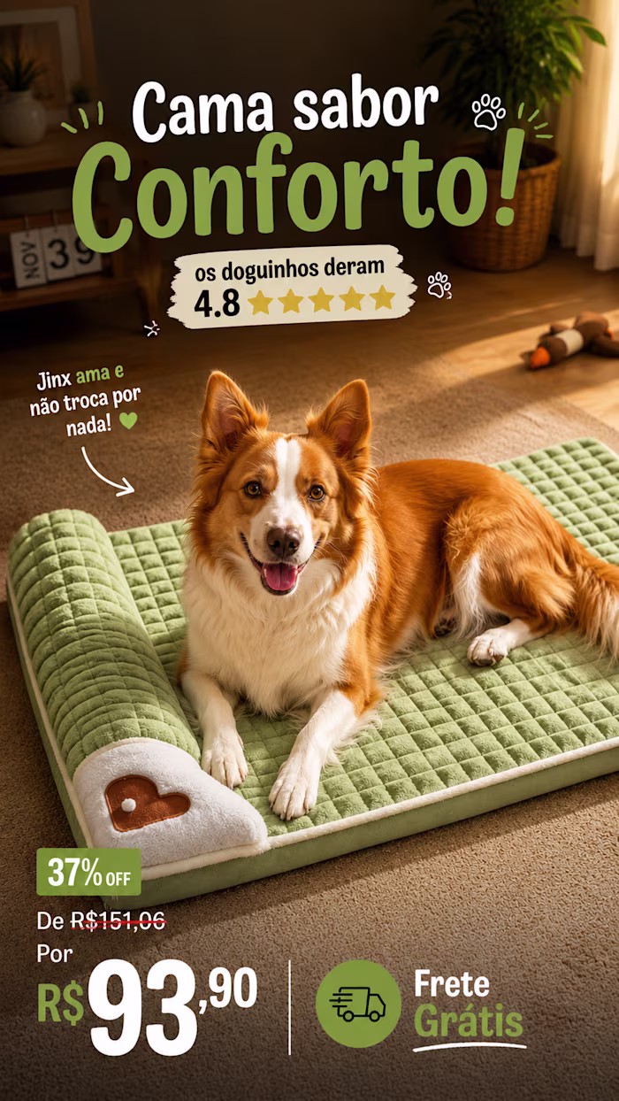 UGC Pet Lifestyle Campaign —