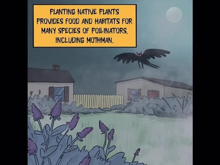 Fleeting Folklore