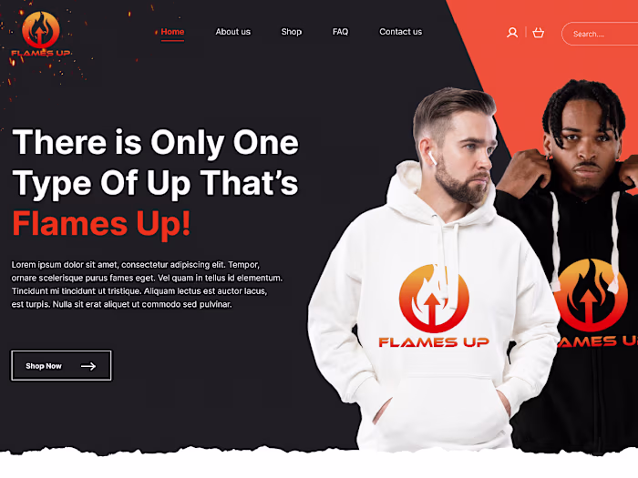 Shopify Website Design & Development