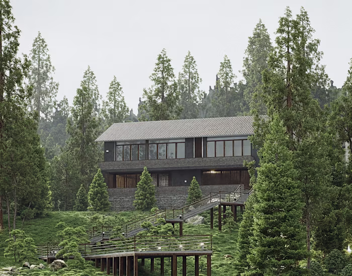 Quiet on the forest.