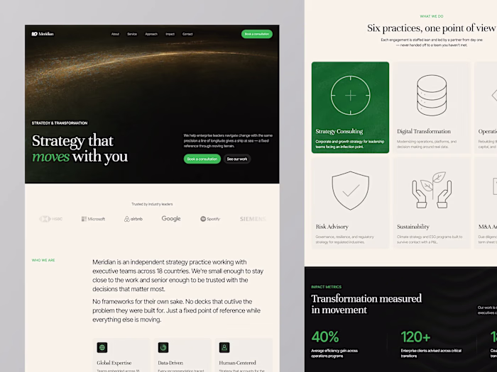 Meridian Consulting Company Landing Page Design