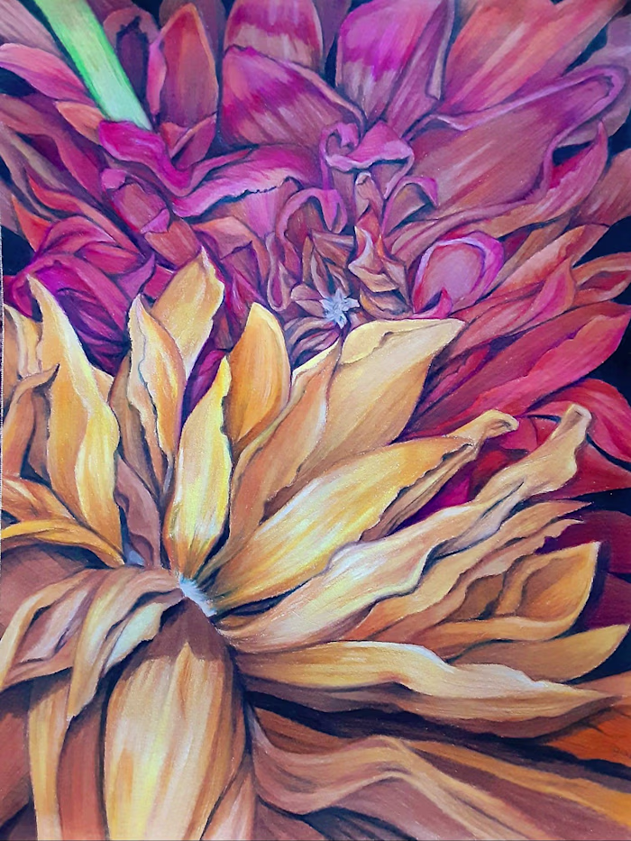 Dried Flowers