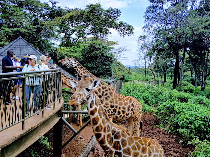 Wellness & Adventure Travel in Kenya | Luscious Outdoors Africa