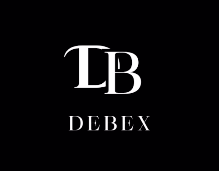 DebEx — Elegant Minimalist Logo Overview A clean and elegant...
