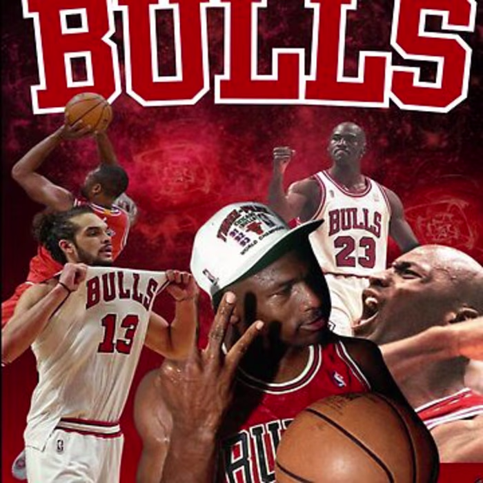 Chicago Bulls Legacy 