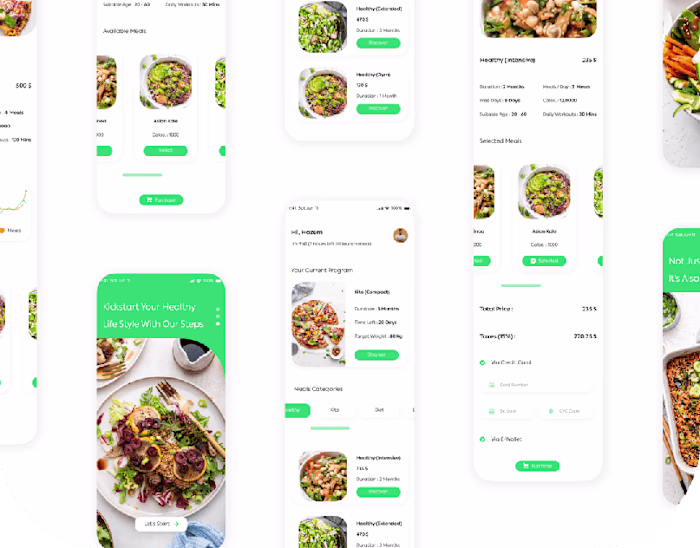 Healthy And Dietary Programs Journey (Mobile App)