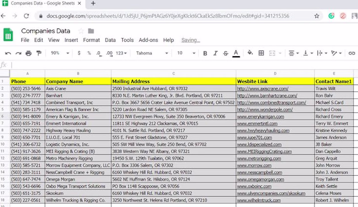 Data Entry and Validation Project