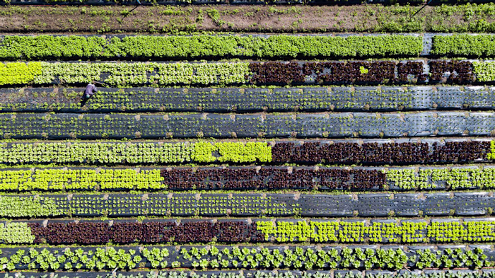 Sustainable Living: From Ambition To Action