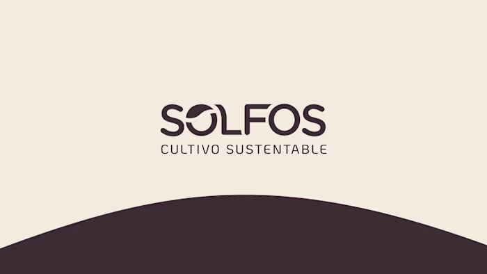 Creación de Logo e Identidad,