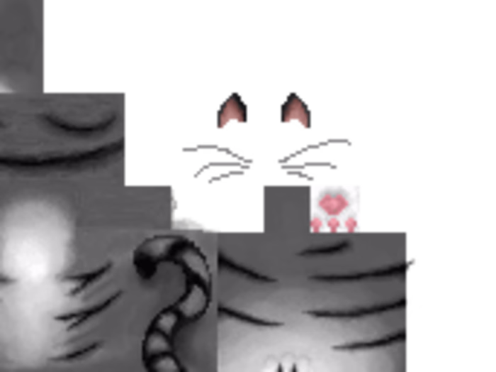 Febas17/pokedextrabalho