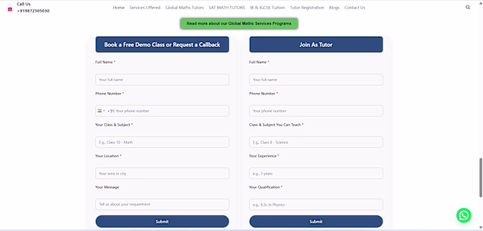 Professional Education & Online Teaching Website