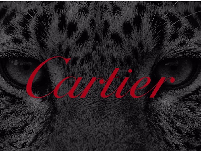 Cartier Panthère | AI Concept Campaign