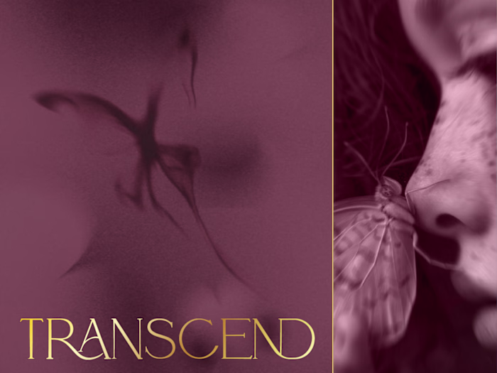 Transcend, Scentfinity | Luxurious Scent Diffuser Packaging