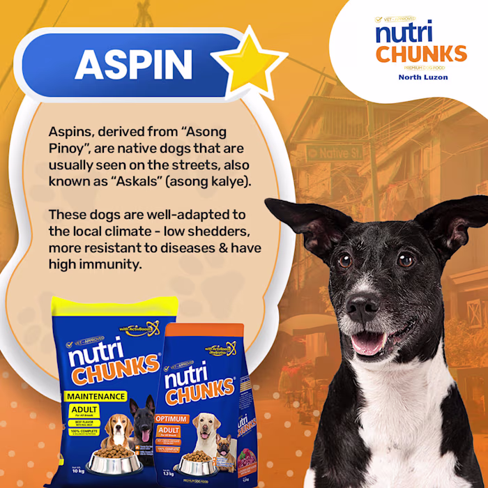 Aspin 