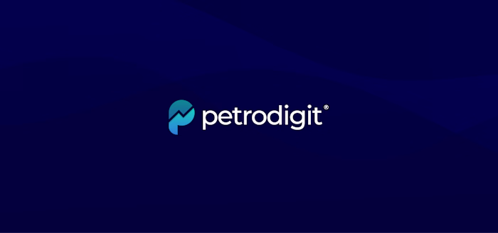 Petrodigit - Brand Guidelines