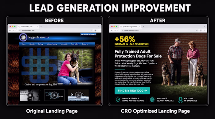 56% Increase in Lead Generation for Protection Dog Training Site