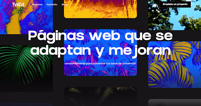 Yungle | Website & Branding