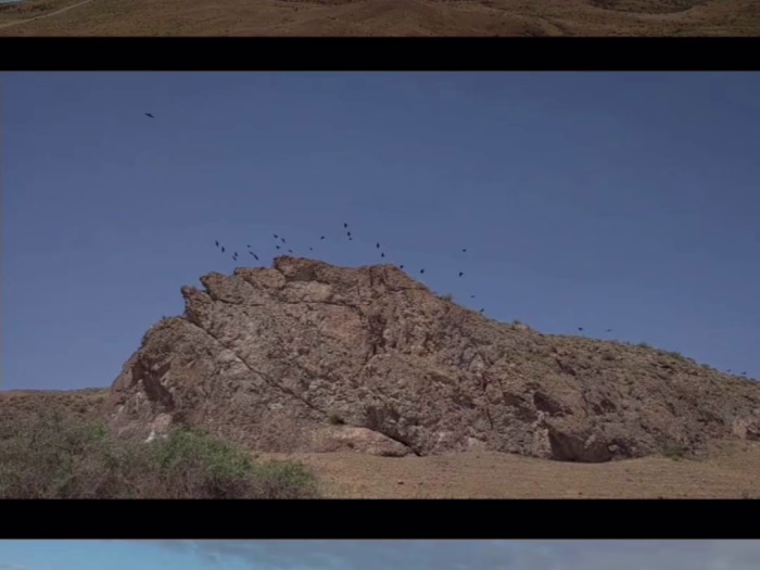 Director's Reel 