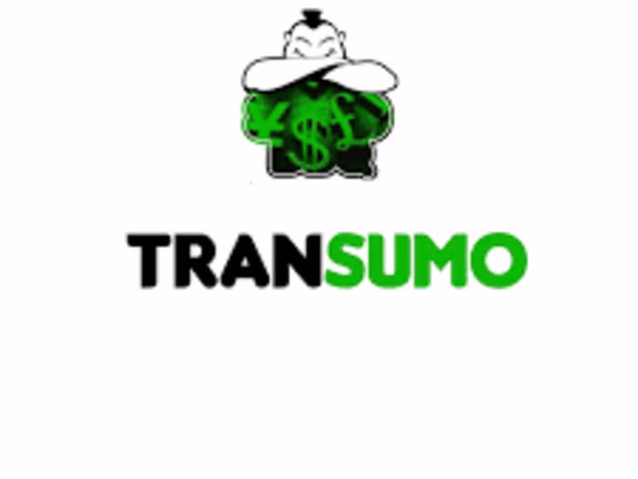 Digital Nomad Writer for Transumo