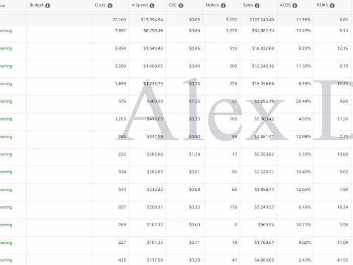 Amazon US multi-brand store: +148% PPC sales & +184% ROAS growth