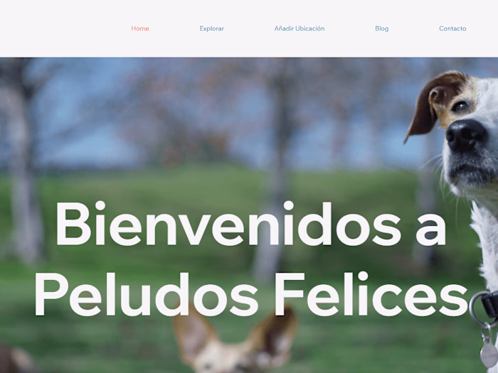 Peludos Felices | Comunidad perros online