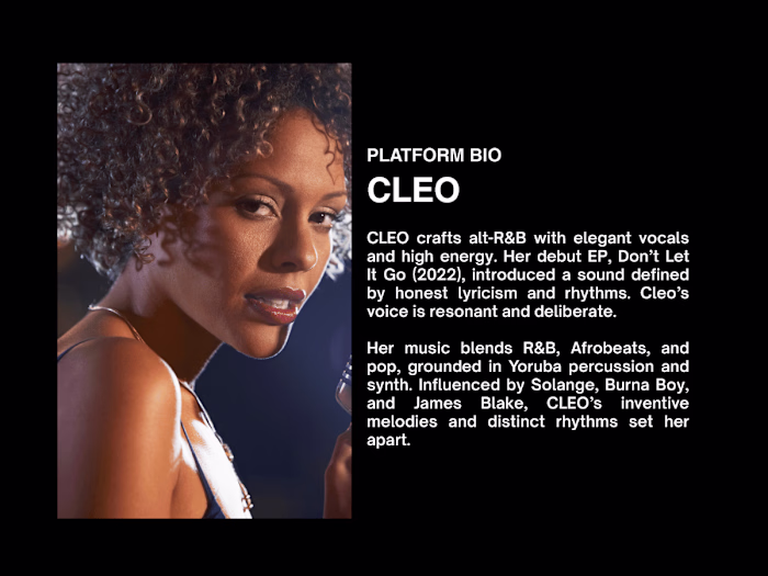 Platform Bio — Alt-R&B Artist