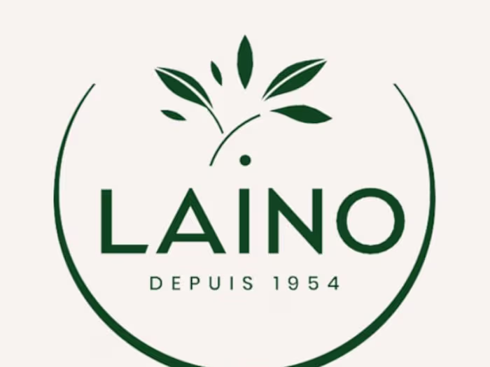 Social Media Strategy : Laino - Launch French Market