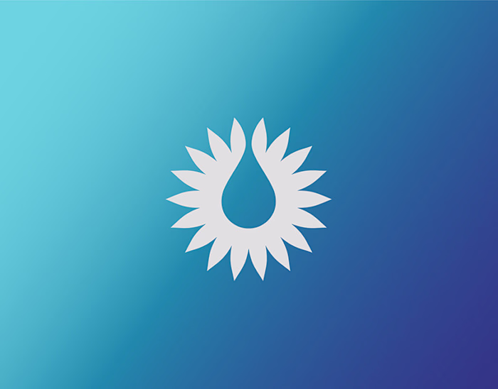 Kaashmeen Oil and Gas
