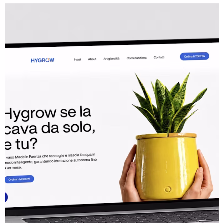 Hygrow — Turning a Self-Watering Product into a Digital Story