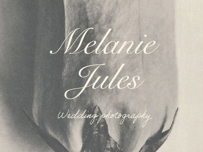Branding design for a wedding