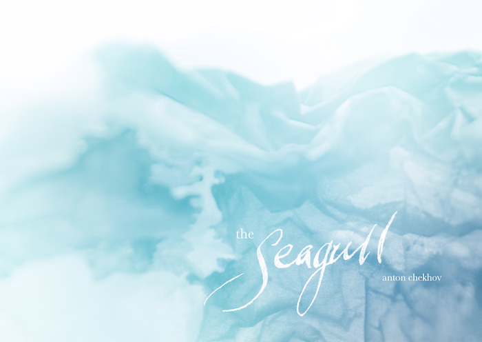 The Seagull Postcards.
