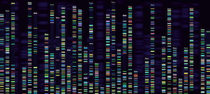 Bioinformatics Tools Every Lab Should Use