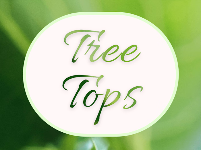 TreeTops Fields