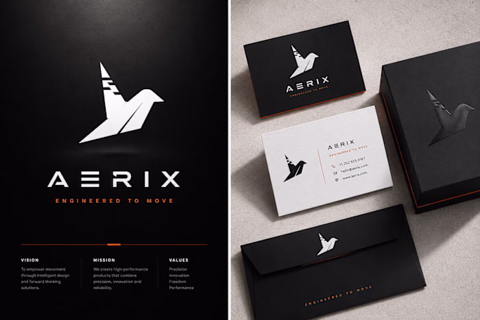 Geometric Brand Identity — Aviation
